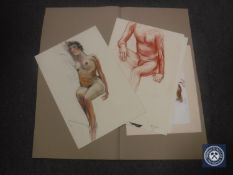 Donald James White : Reclining Nude Study, colour chalks, signed with initials, dated '82,