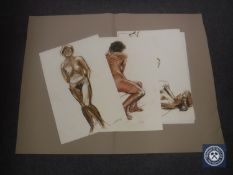 Donald James White : Female Nude Study, colour chalks, signed, dated '81, 60 cm x 40 cm,