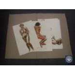 Donald James White : Female Nude Study, colour chalks, signed, dated '81, 60 cm x 40 cm,