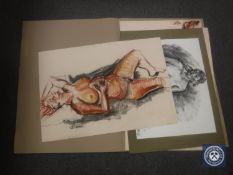 Donald James White : Reclining Nude Study, colour chalks, signed with initials, dated '00,