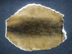 An intuit animal pelt mounted on a board