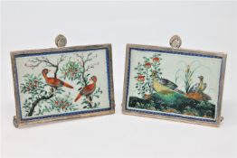 A pair of Chinese gouache on pith paintings depicting exotic birds, in silver frames, Brook & Son,