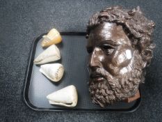 A box of four Indian Ocean conch shells and bust of a greek god