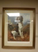 After John Trickett : Portrait of a Seated Spaniel, reproduction in colours,