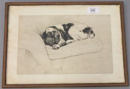 Cecil Aldin : I`m not allowed on this sofa, drypoint etching, numbered 72/100, signed in pencil,