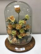 An antique glass dome on a circular walnut base containing dried flowers a/f