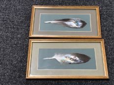 Two framed hand painted feathers depicting birds