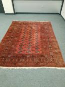 An Afghan Bokhara carpet on terracotta ground,