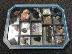 A counter topped display case containing rock and fossil samples