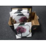 A box containing seven mirrored framed prints together with two 3D pictures of cats and dogs