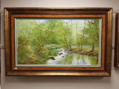 Terry Evans (Born 1943) : Woodland Stream, oil on canvas, signed, 90 cm x 49 cm, framed.