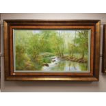 Terry Evans (Born 1943) : Woodland Stream, oil on canvas, signed, 90 cm x 49 cm, framed.