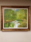 Terry Evans (Born 1943) : Woodland stream, oil on canvas, 74 cm x 59 cm, signed, framed.