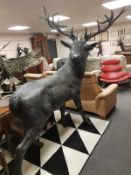 An impressive bronze life size figure of a fourteen point stag,