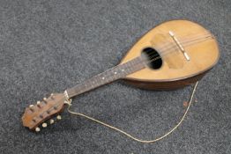 A bowl-back mandolin