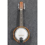 A Savanna eight string mandolin banjo