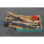 A box of walking stick with silver pommel, assorted sticks, parasols,