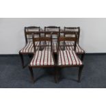 Five antique mahogany dining chairs upholstered in Regency stripe fabric