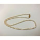 A cultured pearl necklace on 9ct gold clasp