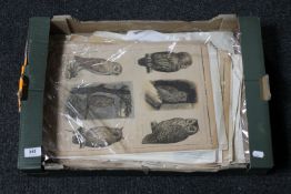 A box containing unframed etchings and book plates