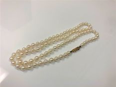 A cultured pearl necklace on yellow gold clasp.