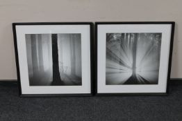 A pair of contemporary framed photographic prints,