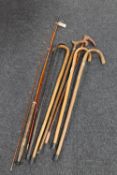 A box of six assorted walking sticks and a three piece W Thompson split cane fly rod