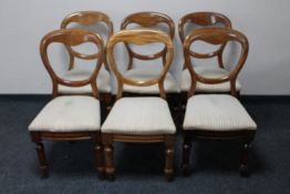 A set of six Victorian mahogany dining chairs