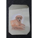 John Murray Thompson : Study of a Labrador, colour chalks on paper, signed.