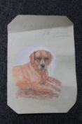 John Murray Thompson : Study of a Labrador, colour chalks on paper, signed.