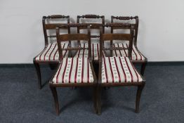 Five antique mahogany dining chairs upholstered in Regency stripe fabric