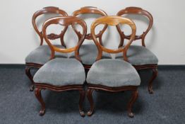 Three Victorian mahogany balloon back chairs and a further pair of chairs (5)