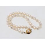 A continental cultured pearl necklace on 14ct gold pearl set clasp, length 35cm.
