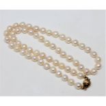 A continental cultured pearl necklace on 14ct gold ball clasp, length 45cm.