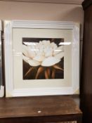 A cream framed picture depicting a flower,