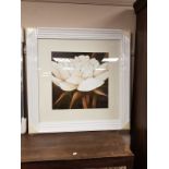 A cream framed picture depicting a flower,