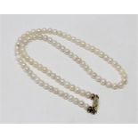 A continental cultured pearl necklace on 14ct gold clasp, length 36cm.