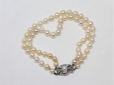 A continental two-strand cultured pearl bracelet on 14ct white gold clasp, length 19cm.