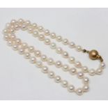 A continental cultured pearl necklace on 14ct gold ball clasp, length 48cm.