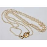 A continental two-strand cultured pearl necklace on 14ct gold pearl set clasp, length 54cm.