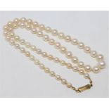 A continental cultured pearl necklace on 14ct gold clasp, length 52cm.