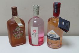 Three bottles of gin : Slingsby Rhubarb,