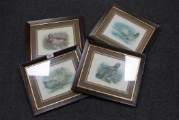 A set of four framed prints of game birds