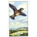 GALLAHER, complete (7), inc. Trains, British Birds, Aeroplanes, Butterflies & Moths, Wild Flowers