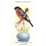 OGDENS, British Birds & Their Eggs, complete, EX, 50