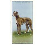 PLAYERS, Famous Irish Greyhounds, EX, 34