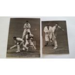 CRICKET, press photos, 1951, England v South Africa, inc. Cowdrey, Waite, Rowan Bedser, van