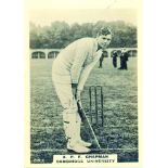 PHILLIPS, Cricketers (brown), large (60 x 84mm), Nos. 218-224, G to VG, 6