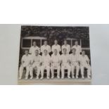 CRICKET, press photo of 1952 Australian XI team, for match v South Africa, taken in Perth, 10 x 8,