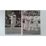 CRICKET, press photos, action shots, mainly from 1981 Ashes, inc. Botham (5), Australians (8)